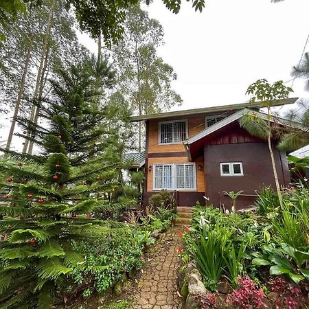 Dahilayan Comfy Cabin Manolo Fortich المظهر الخارجي الصورة
